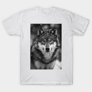 Majestic Wolf in Greyscale T-Shirt